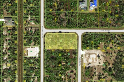 Land in Port Charlotte, Florida № 2166484 - photo 2