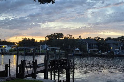 House in Tampa, Florida 5 bedrooms, 337.7 sq.m. № 2095599 - photo 6