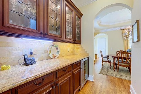 House in Tampa, Florida 5 bedrooms, 337.7 sq.m. № 2095599 - photo 27