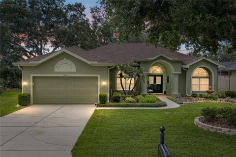Villa ou maison à Dade City, Floride 3 chambres, 163.69 m2 № 2219249
