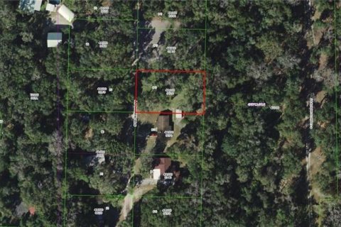 Land in Inverness, Florida № 2161290 - photo 5