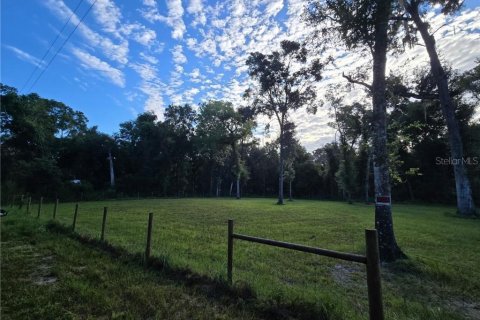 Land in Inverness, Florida № 2161290 - photo 3
