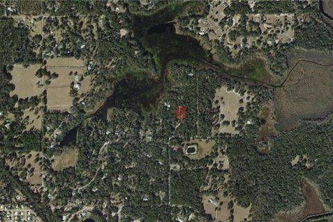 Land in Inverness, Florida № 2161290 - photo 6