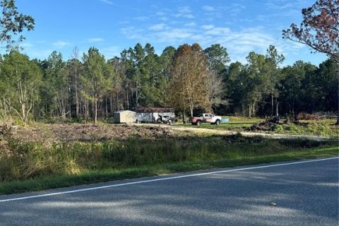Land in Citra, Florida № 1800365 - photo 1