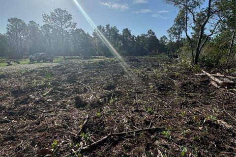 Land in Citra, Florida № 1800365 - photo 16
