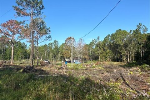 Land in Citra, Florida № 1800365 - photo 4
