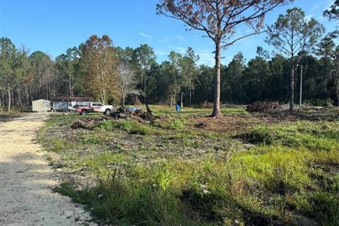 Land in Citra, Florida № 1800365 - photo 6