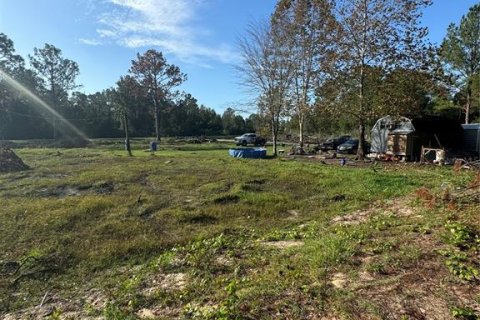 Land in Citra, Florida № 1800365 - photo 12