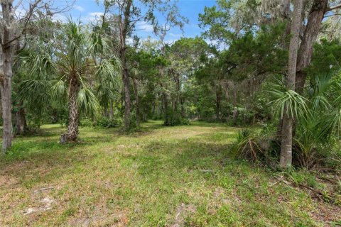 Land in Homosassa, Florida № 2316869 - photo 2