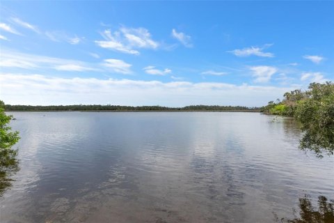Terrain à Homosassa, Floride № 2316869