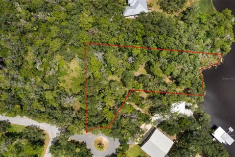 Land in Homosassa, Florida № 2316869 - photo 14