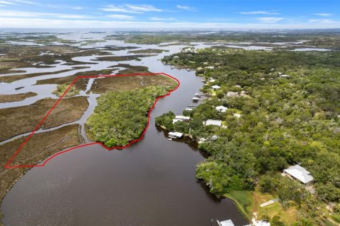 Land in Homosassa, Florida № 2316869 - photo 9