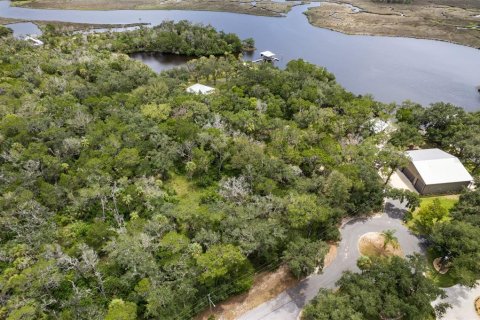 Land in Homosassa, Florida № 2316869 - photo 5