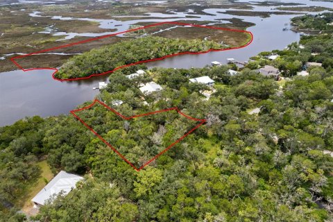 Land in Homosassa, Florida № 2316869 - photo 7