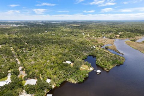 Land in Homosassa, Florida № 2316869 - photo 11