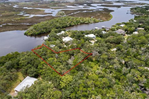 Land in Homosassa, Florida № 2316869 - photo 6