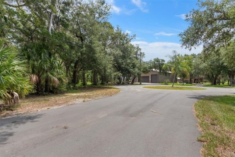 Land in Homosassa, Florida № 2316869 - photo 3