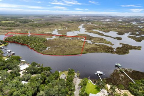 Land in Homosassa, Florida № 2316869 - photo 12