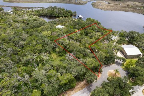 Land in Homosassa, Florida № 2316869 - photo 4