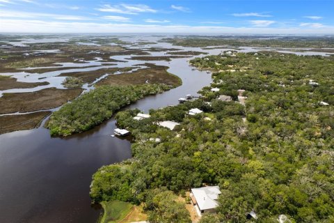 Land in Homosassa, Florida № 2316869 - photo 15