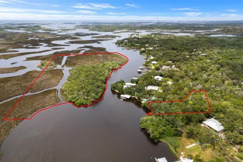 Land in Homosassa, Florida № 2316869 - photo 10