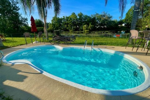 Villa ou maison à louer à New Port Richey, Floride: 2 chambres, 90.67 m2 № 2419019 - photo 15