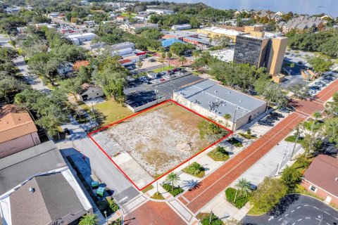 Land in Sanford, Florida № 1254696 - photo 4