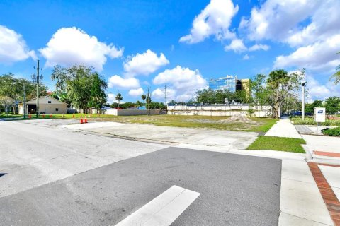 Land in Sanford, Florida № 1254696 - photo 2