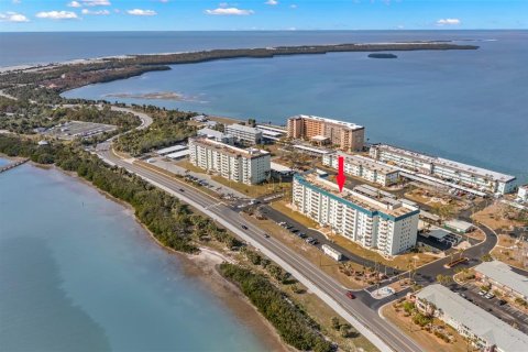 Copropriété à louer à Dunedin, Floride: 2 chambres, 90.12 m2 № 1903434 - photo 29