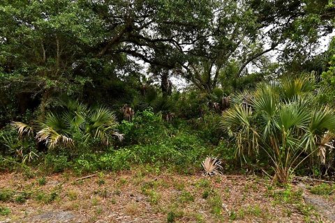 Terrain à North Port, Floride № 2273147