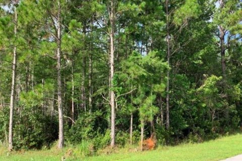 Land in Orlando, Florida № 1761933 - photo 1