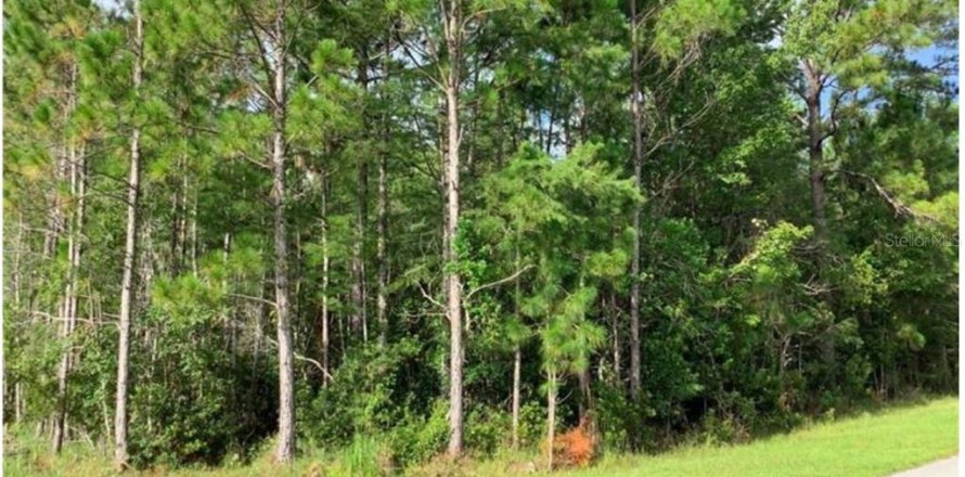 Land in Orlando, Florida № 1761933