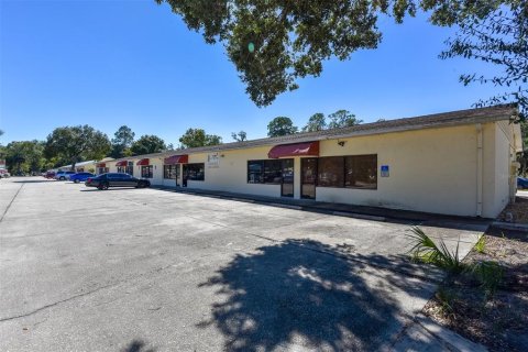 Commercial property in Bunnell, Florida 1939.61 sq.m. № 2129464
