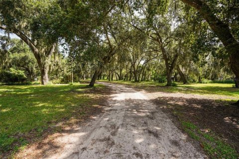 Propiedad comercial en venta en Kissimmee, Florida, 6 dormitorios, 318.56 m2 № 2207797 - foto 5