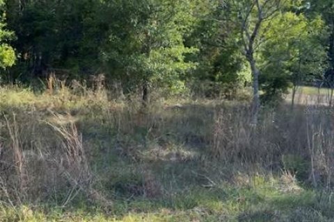 Land in Inverness, Florida № 2158742 - photo 3