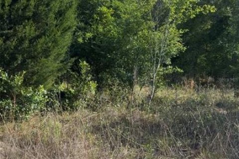 Land in Inverness, Florida № 2158742 - photo 2