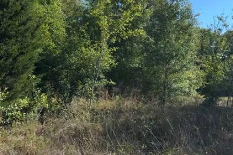 Land in Inverness, Florida № 2158742