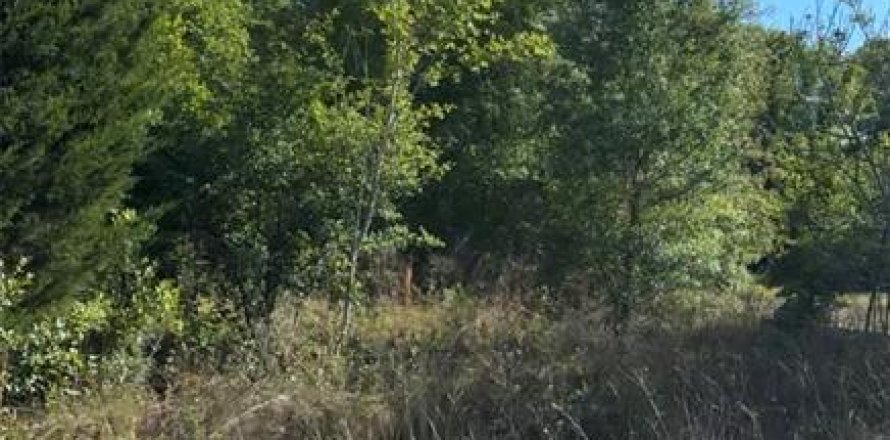 Land in Inverness, Florida № 2158742