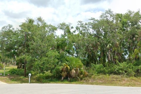 Land in Rotonda, Florida № 2163646 - photo 3