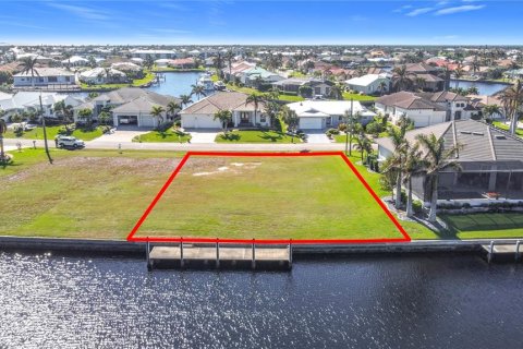 Terrain à Punta Gorda, Floride № 2128421