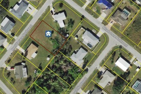 Land in Port Charlotte, Florida № 2164200 - photo 3