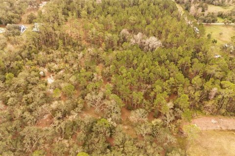 Land in Ormond Beach, Florida № 1535118 - photo 3