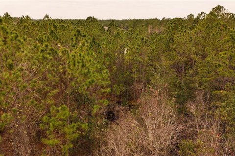 Land in Ormond Beach, Florida № 1535118 - photo 24