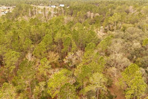Land in Ormond Beach, Florida № 1535118 - photo 6