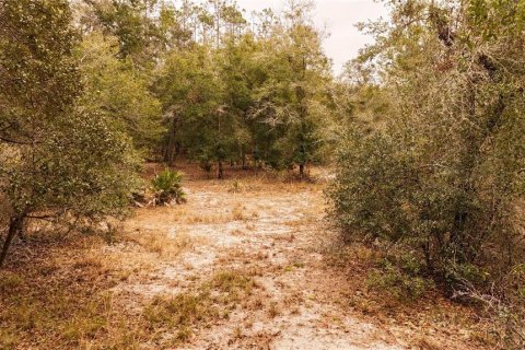 Land in Ormond Beach, Florida № 1535118 - photo 14