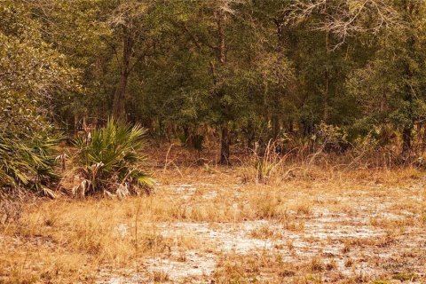 Land in Ormond Beach, Florida № 1535118 - photo 15
