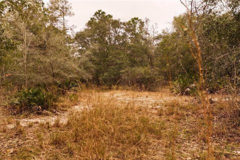 Land in Ormond Beach, Florida № 1535118 - photo 10