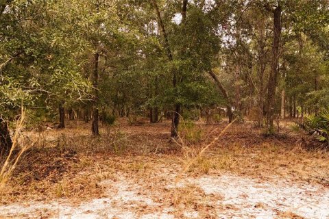 Land in Ormond Beach, Florida № 1535118 - photo 11