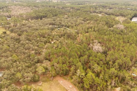 Land in Ormond Beach, Florida № 1535118 - photo 4