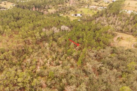 Land in Ormond Beach, Florida № 1535118 - photo 2